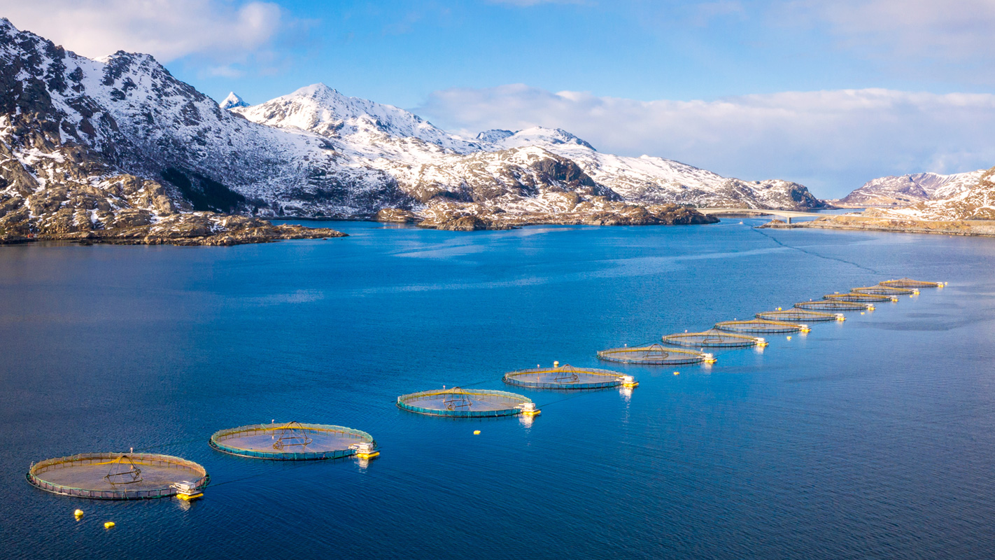 For å løse smertepunktene for havbruk, fører RAS som sirkulerer vannteknologi den fremtidige utviklingsretningen til havbruk